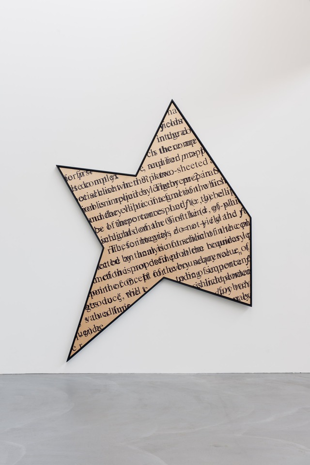 *Gold saturation with “sheeted”*, 2009
Acrylic on canvas
245 x 247 cm